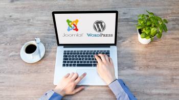 Why Are WordPress And Joomla A Perfect Match?