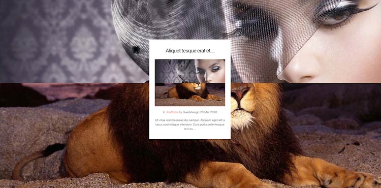 Nice Page style snap