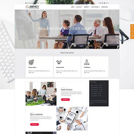 Agency Joomla Template