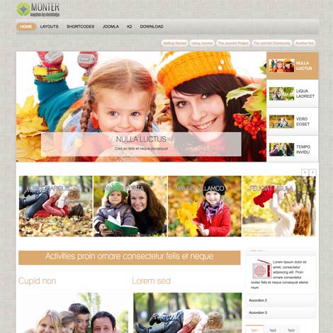 Family Joomla Template