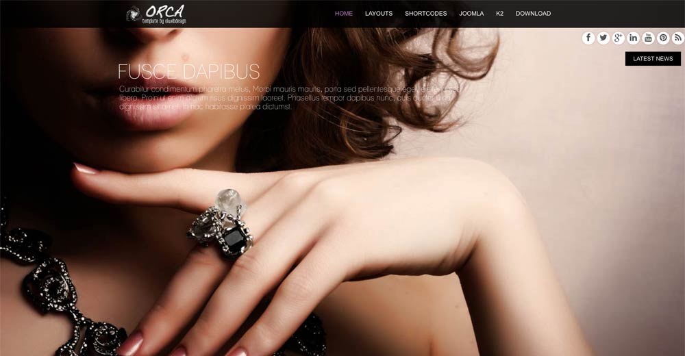 Photography Gallery Joomla Template