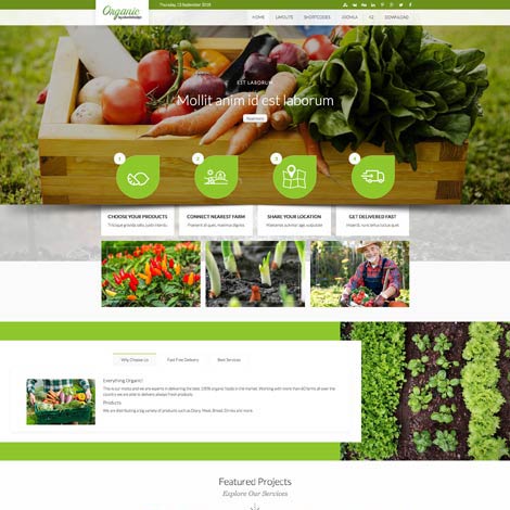 Organic Products Joomla Template