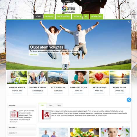 Lifestyle Joomla Template