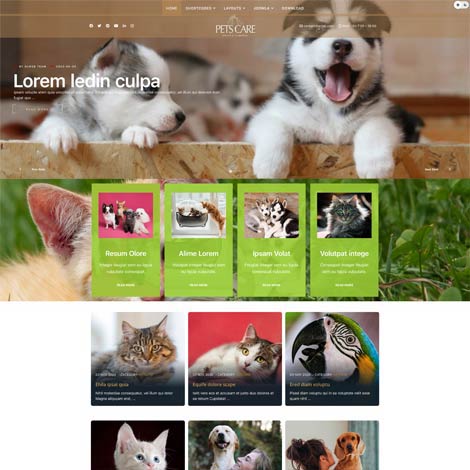 Pets Joomla template