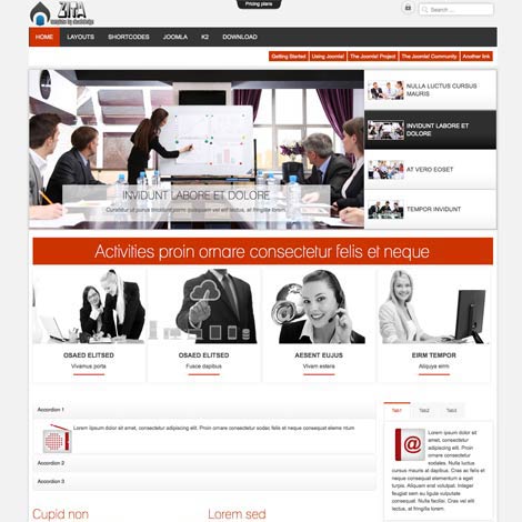 Joomla Business Agency Template